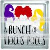 A BUNCH OF HOCUS POCUS - Image 2