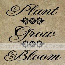 Plant Grow Bloom