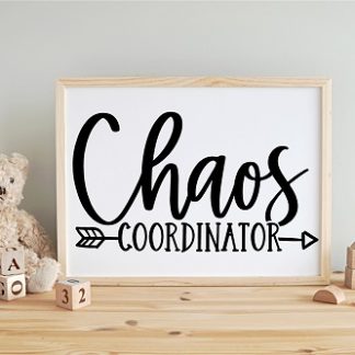 Chaos Coordinator