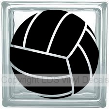 Volleyball (Solid)