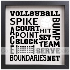 VOLLEYBALL SPIKE BUMP ACE COURT...