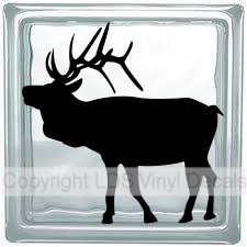 Elk