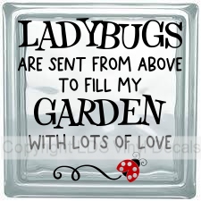 LADYBUGS ARE SENT FROM ABOVE TO FILL MY GARDEN WITH LOTS OF LOVE