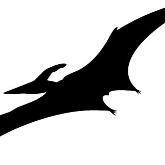 Pterodactyl Silhouette