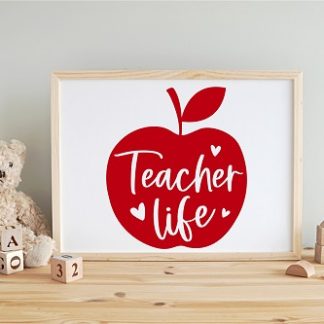 Teacher Life (apple)